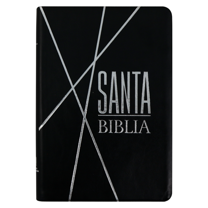 Biblia Reina Valera 1960 letra mediana negra canto gris pintado