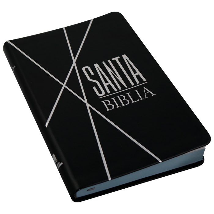 Biblia Reina Valera 1960 letra mediana negra canto gris pintado