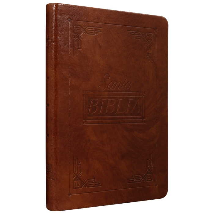 Biblia Reina Valera 1960 letra mediana café canto café pintado