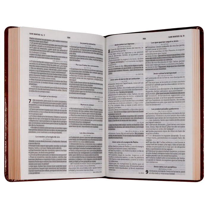 Biblia Reina Valera 1960 letra mediana café canto café pintado