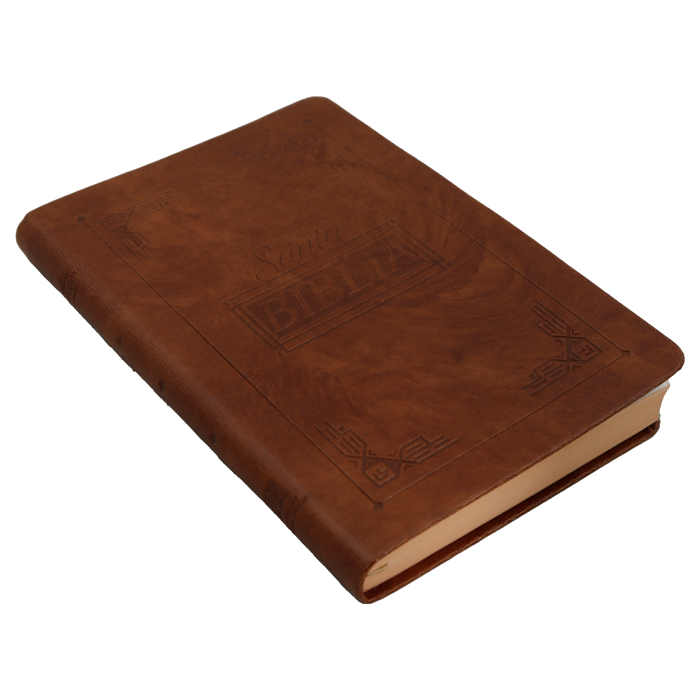 Biblia Reina Valera 1960 letra mediana café canto café pintado
