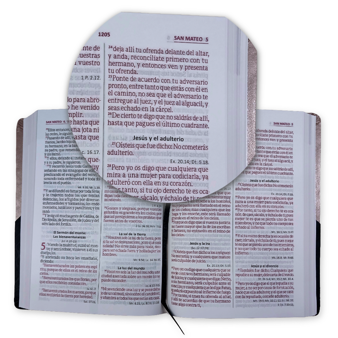 Biblia Reina Valera 1960 – 085 – Con Concordancia – Letra 12 pts – 17x23,5 cm – Palabras de Jesús en Rojo – Negro/Beige