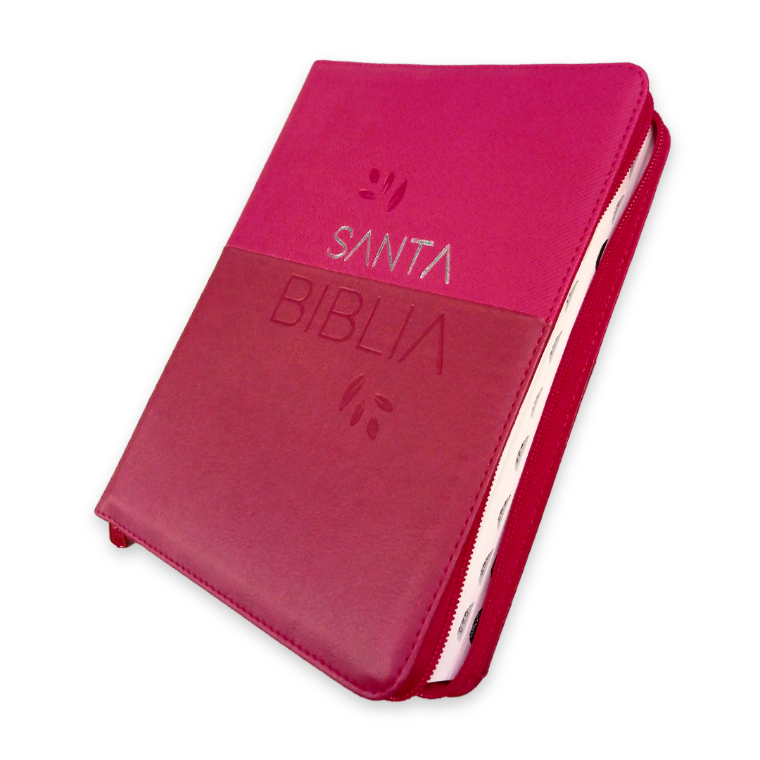 Biblia Reina Valera 1960 – 086 – Con Concordancia – Letra 12 pts – 17x23,5 cm – Palabras de Jesús en Rojo – Cierre con Índice – Tapa PU Cereza/Vino