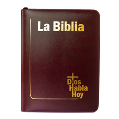 Biblia Dios Habla Hoy letra gigante imitación piel vino tinto canto pintado