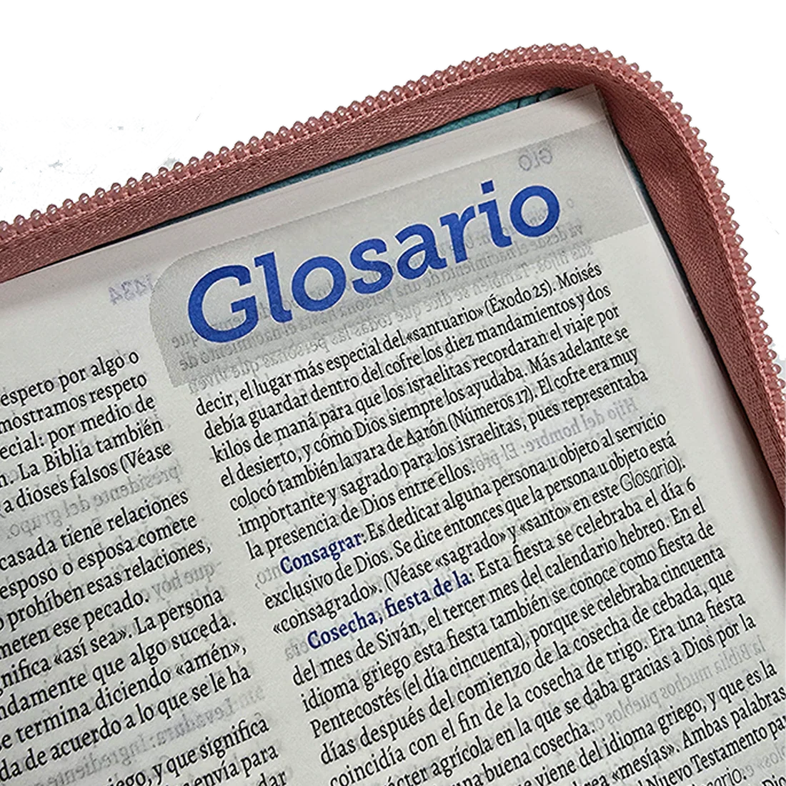 Biblia Traducción al Lenguaje Actual letra grande con cierre azul claro/morado canto plateado