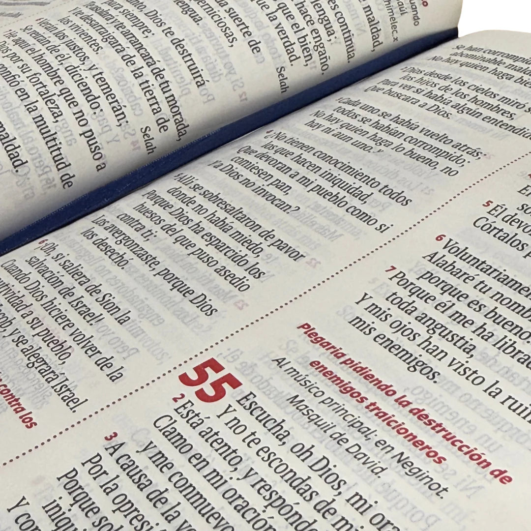 BIBLIA REINA VALERA 1960 066ZLGPJR L 12p 13x21 CIERRE TAPA PU CAFE PJR