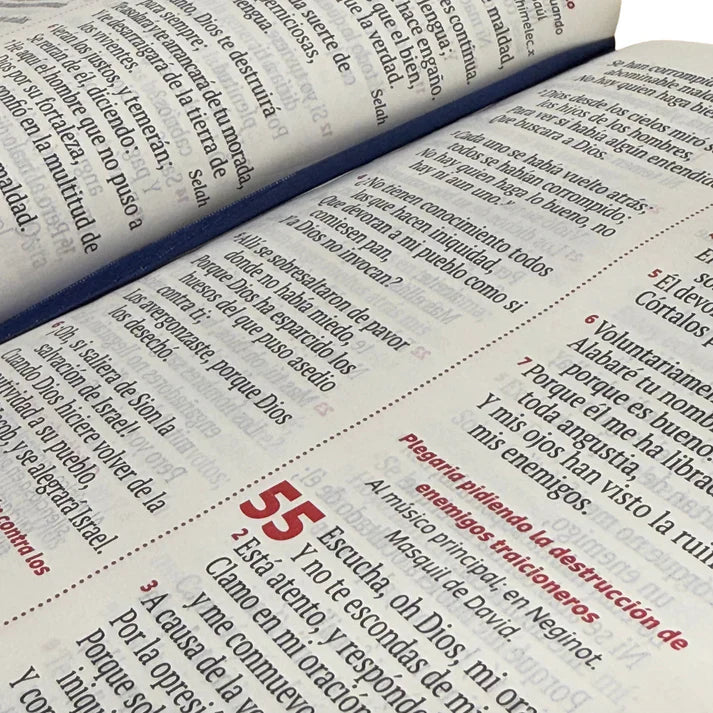 Biblia Reina Valera 1960 letra grande con cierre azul canto plateado
