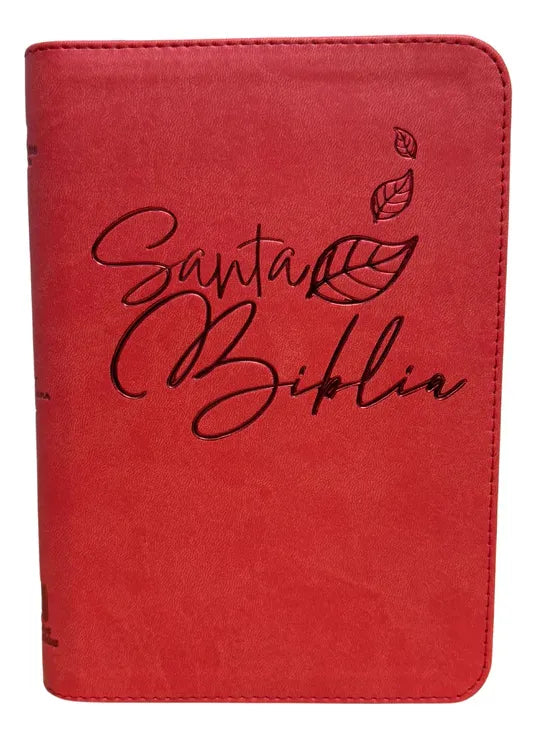 Biblia Reina Valera 1960 letra grande con cierre rojo canto dorado