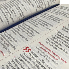 BIBLIA REINA VALERA 1960 066ZLG PJR L 12p 13x21 CIERRE TAPA PU ROSADO PJR