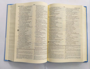 Biblia Dios Habla Hoy Edicion de Estudio Deuterocanónicos - Sbu