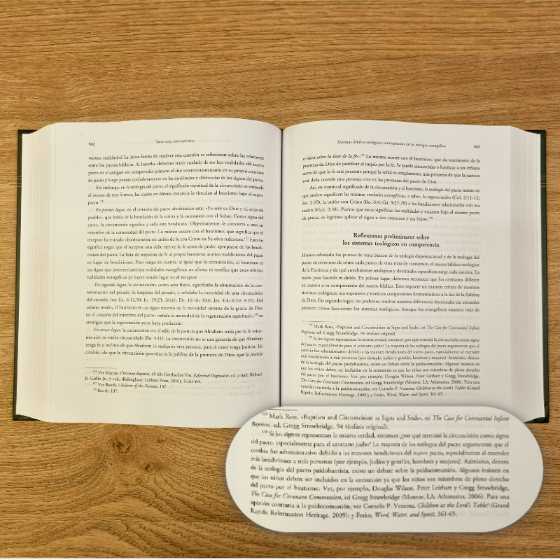 TEOLOGÍA SISTEMÁTICA: VOLUMEN UNO - Del canon a la conceptualización - Stephen J. Wellun - Tapa Dura