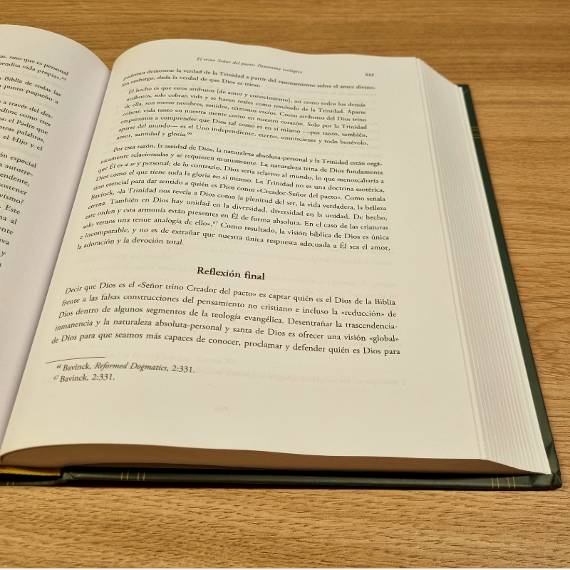 TEOLOGÍA SISTEMÁTICA: VOLUMEN UNO - Del canon a la conceptualización - Stephen J. Wellun - Tapa Dura