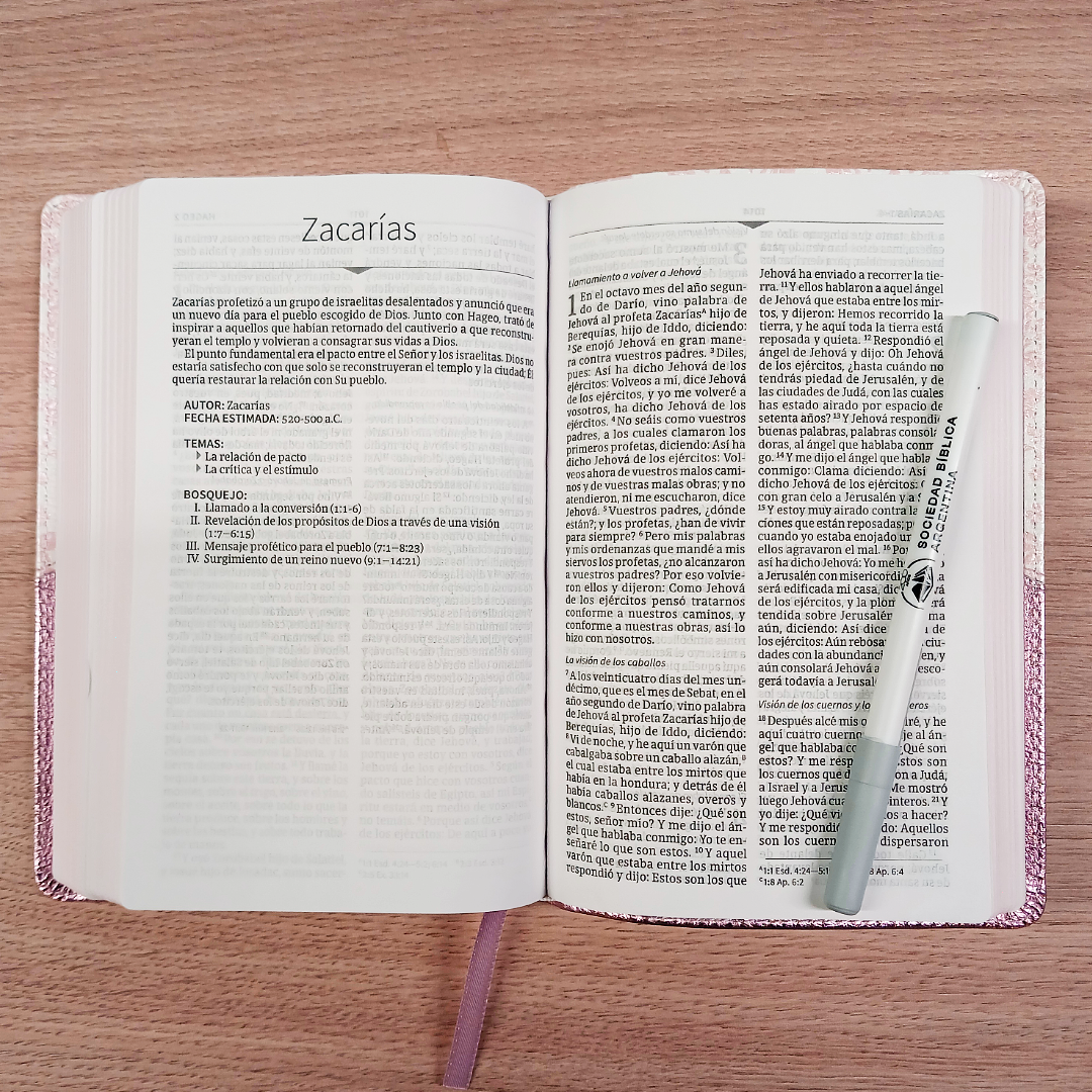 Biblia Mis Quince Reina Valera 1960 – Tapa Imitación Piel Rosa Floreado