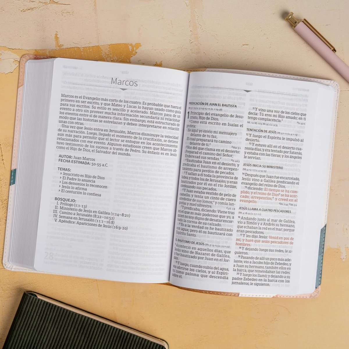 Biblia Reina-Valera 1960, Letra 12 Pt, 13,5×20, Tapa PU, Acuarela