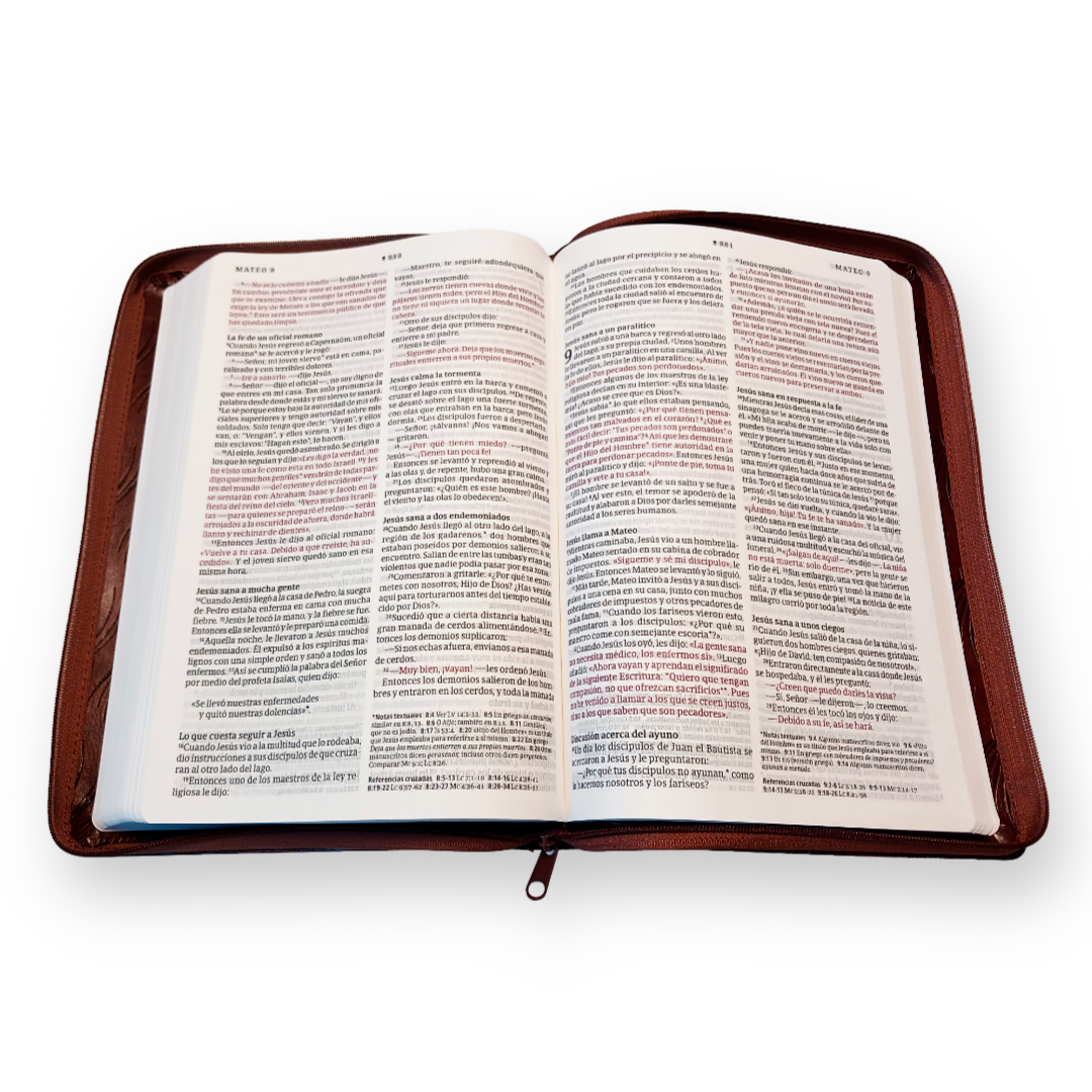 Biblia Nueva Traducción Viviente Letra Grande Ultrafina Símil piel Palmera Café con Cierre