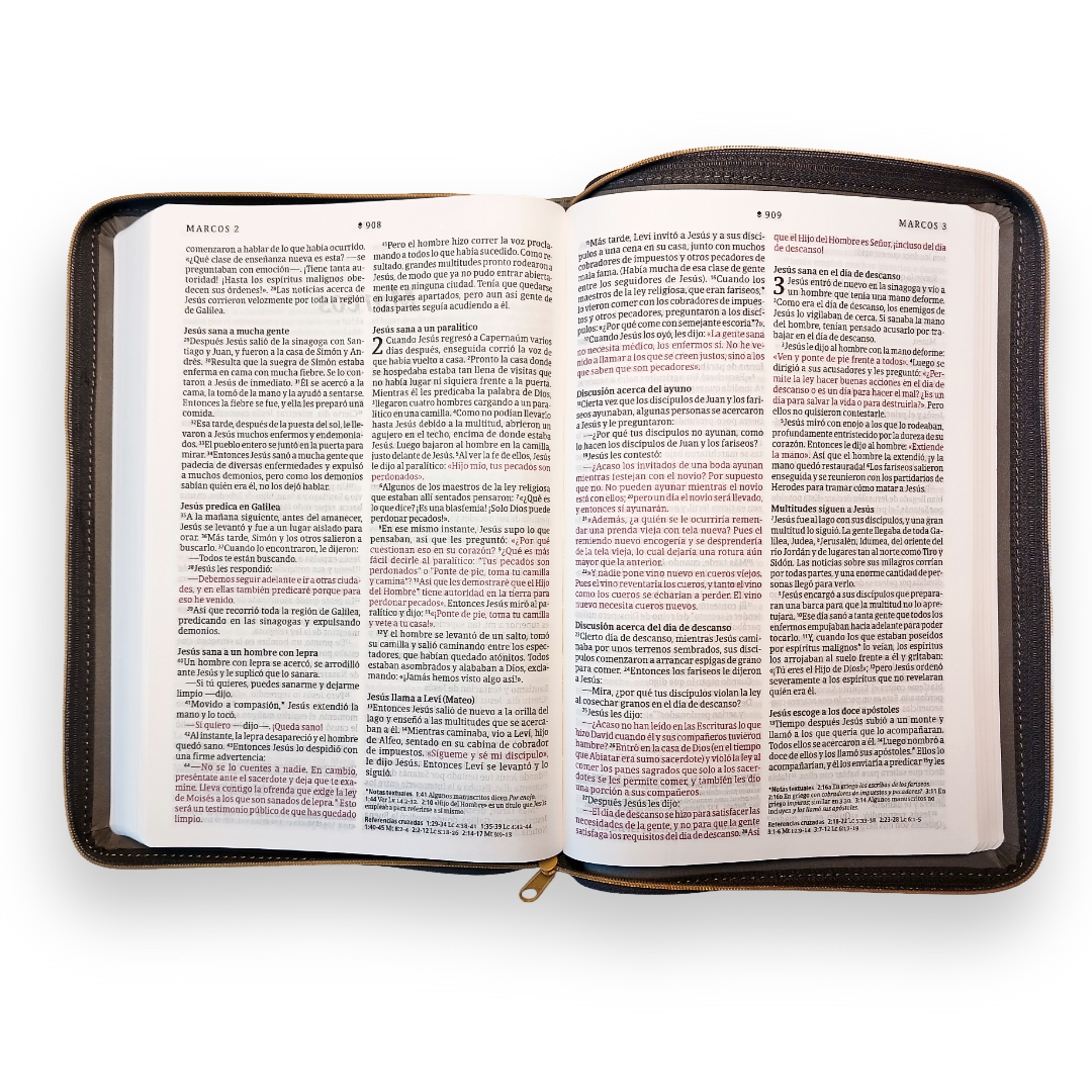 Biblia Nueva Traducción Viviente Ultrafina Letra Grande Símil piel Gris con  Cierre