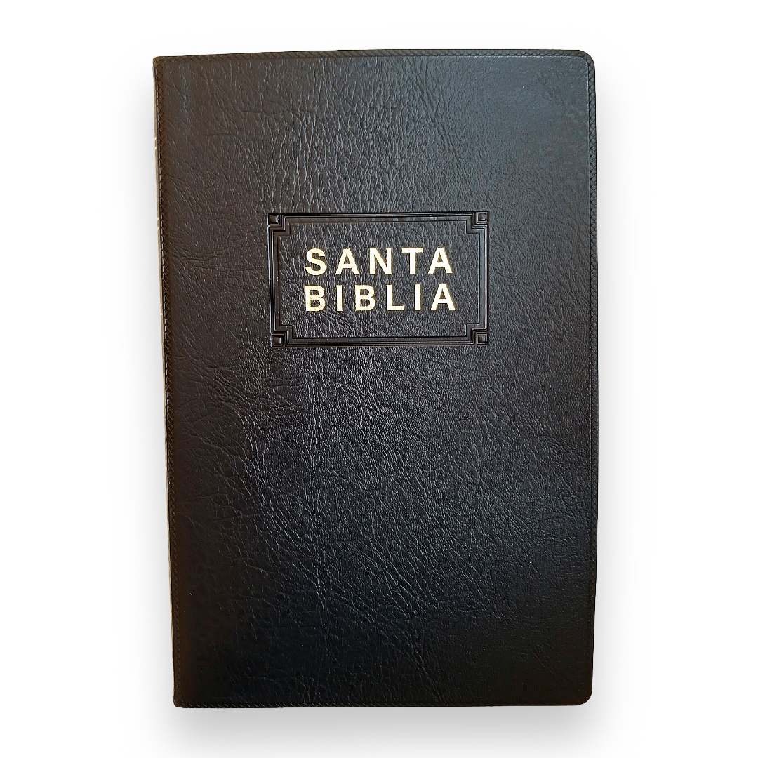 Biblia Nueva Traducción Viviente Vinil Negro