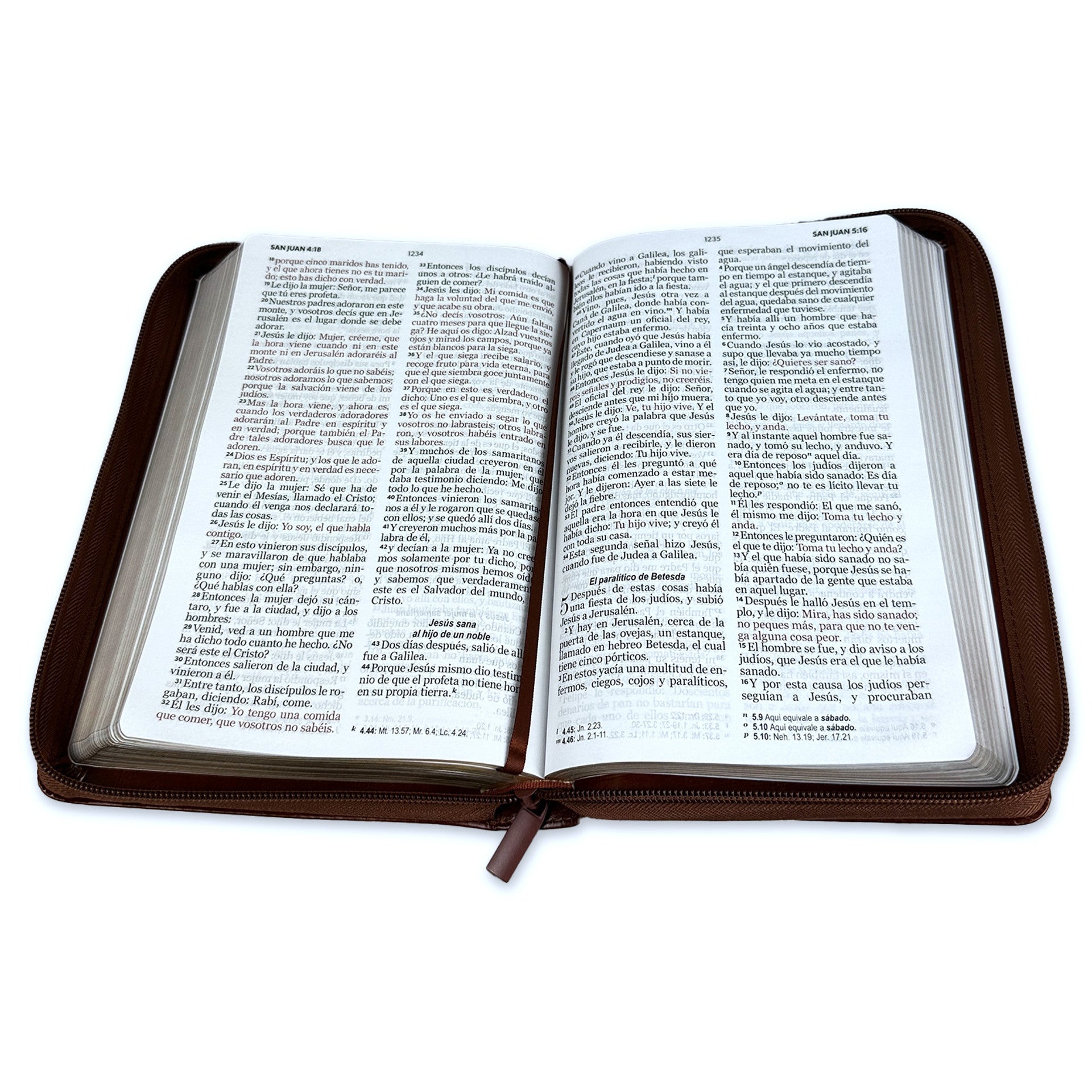 Biblia Rvr60 065Cz Lg 12P Cierre 15 X 23 Clásica Café