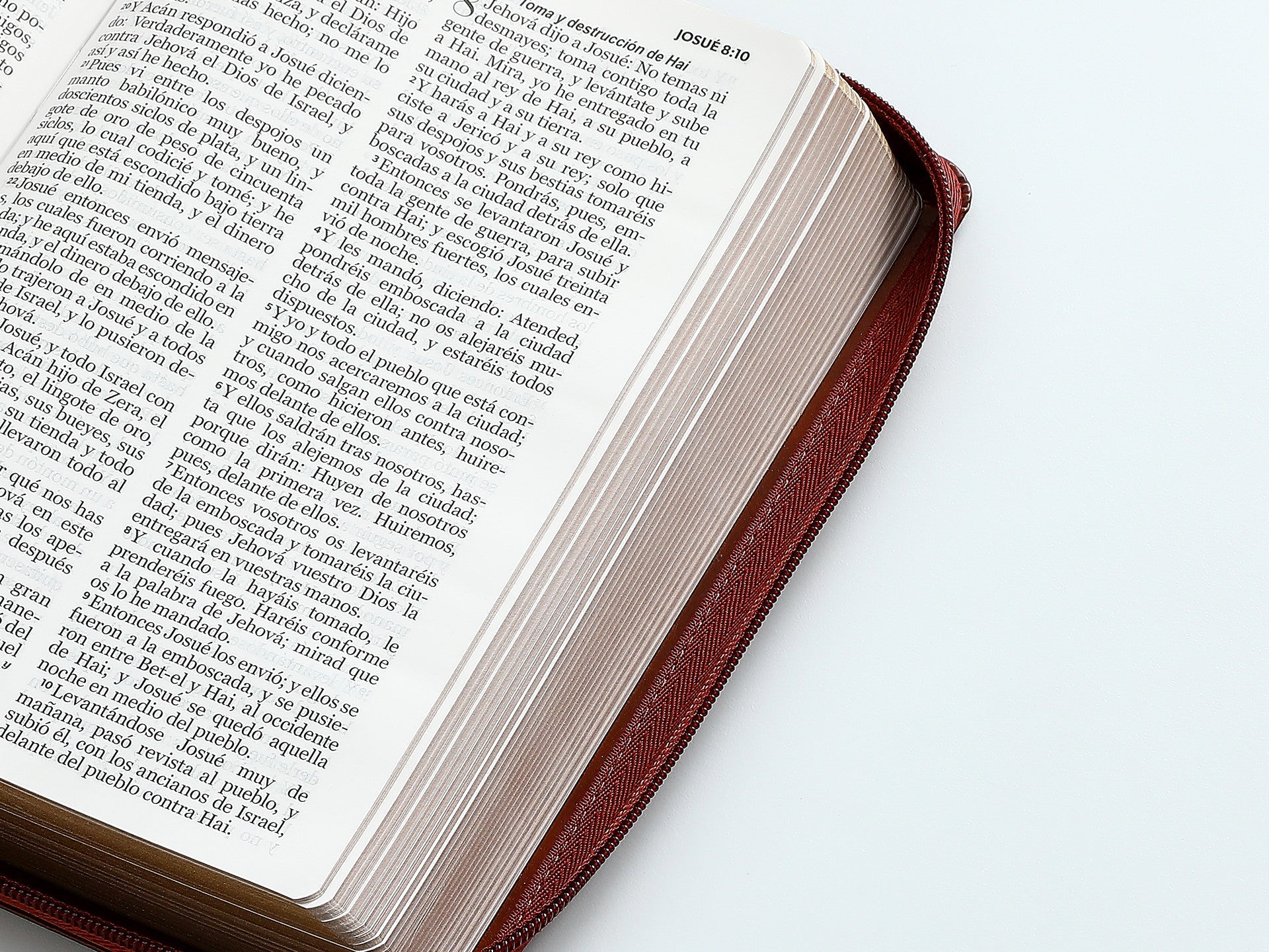 Biblia Rvr60 065Cz Lg 12P Cierre 15 X 23 Clásica Café