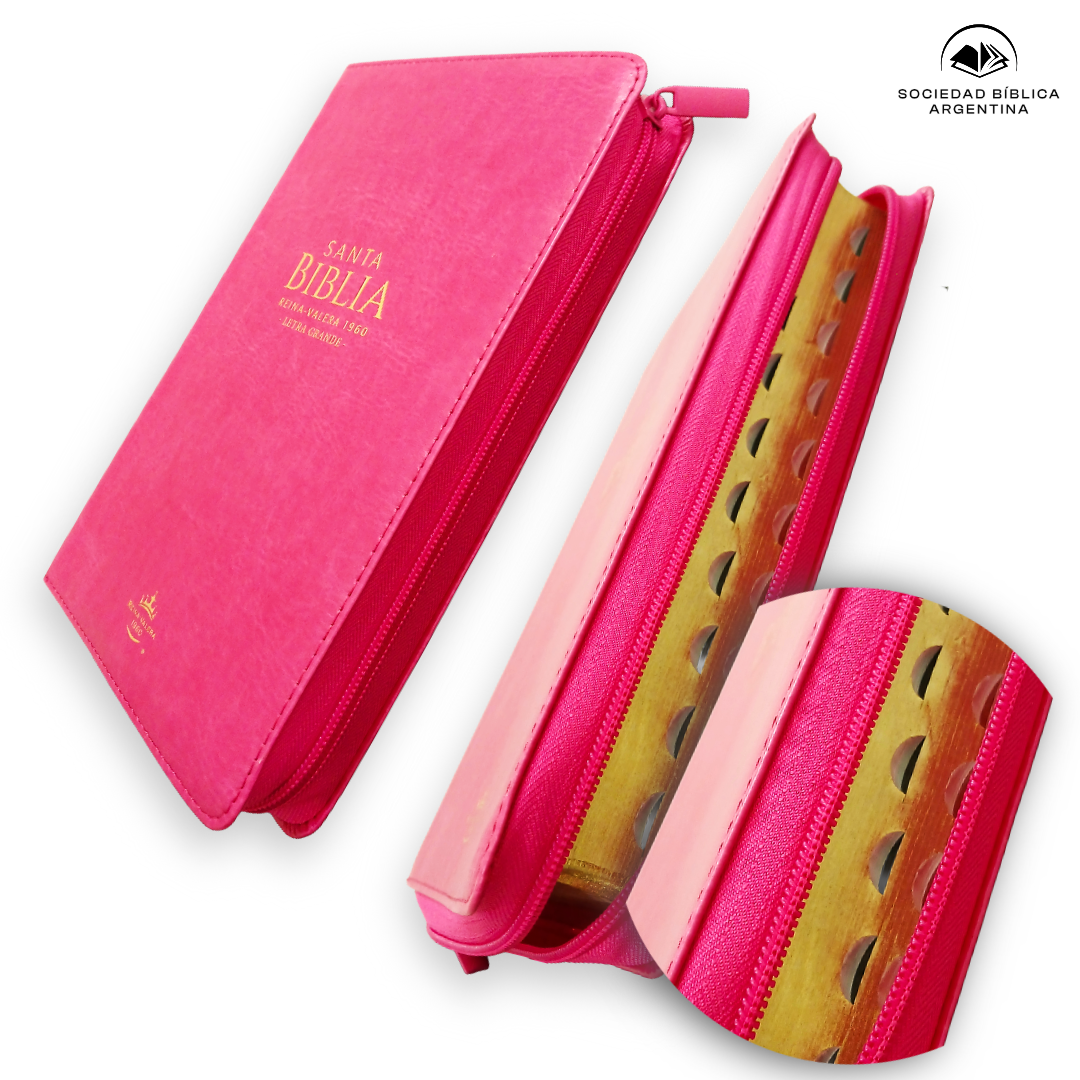 Biblia Reina Valera 1960 Czti Lg Pjr Clásica Fucsia