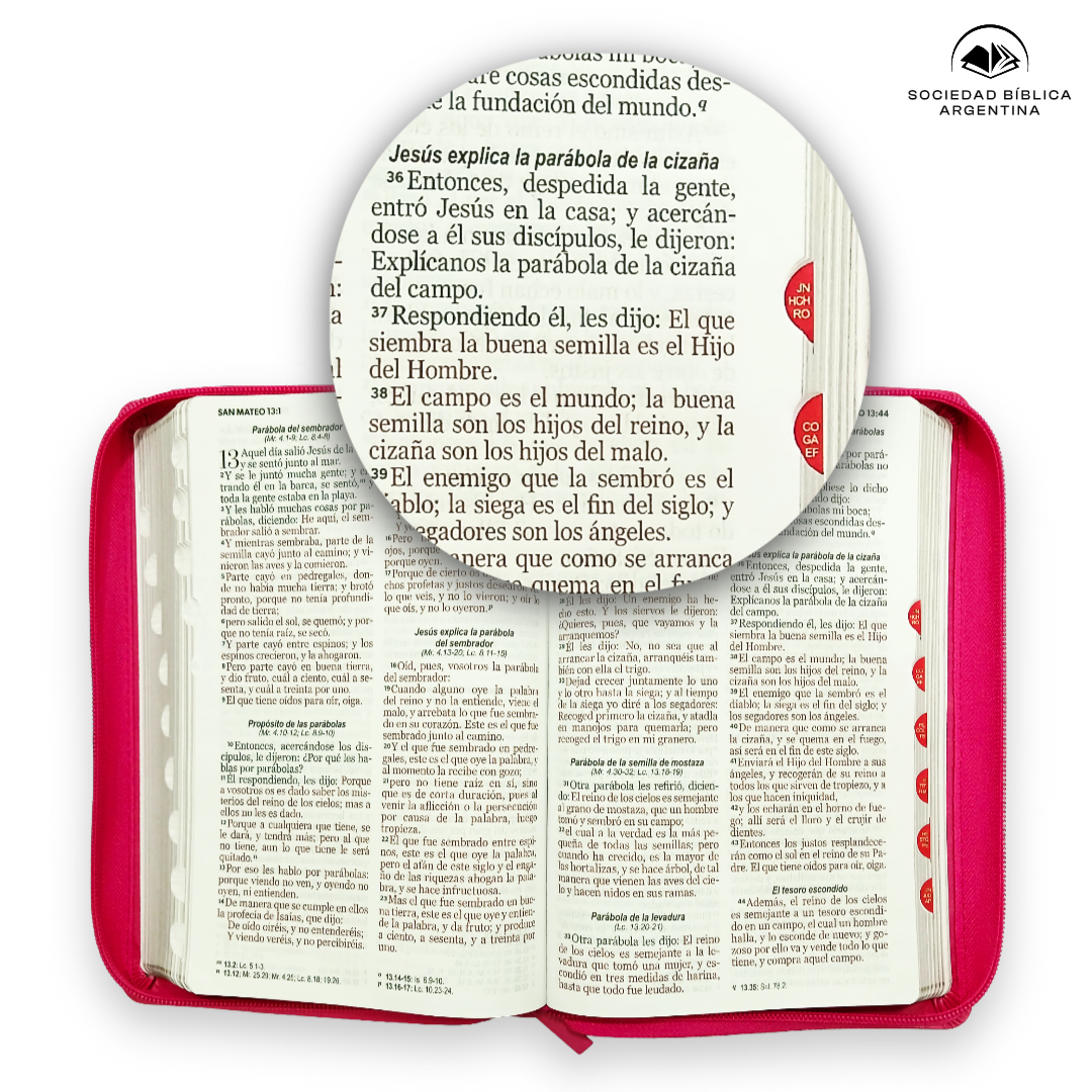 Biblia Reina Valera 1960 Czti Lg Pjr Clásica Fucsia