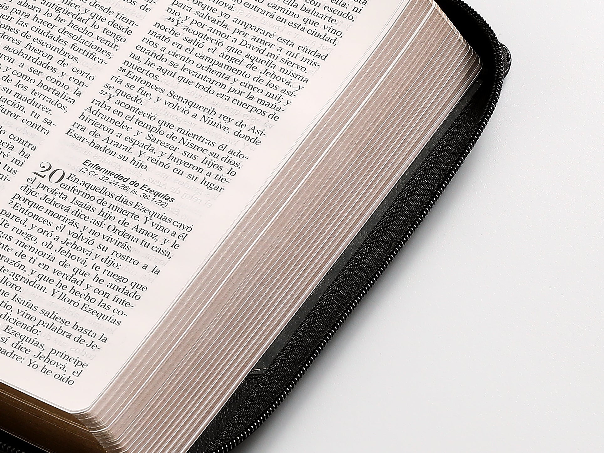 Biblia Reina Valera 1960 · 13,8x21,2 cm · Letra grande 12,5 pt · Con cierre · Diseño bitono negro y gris