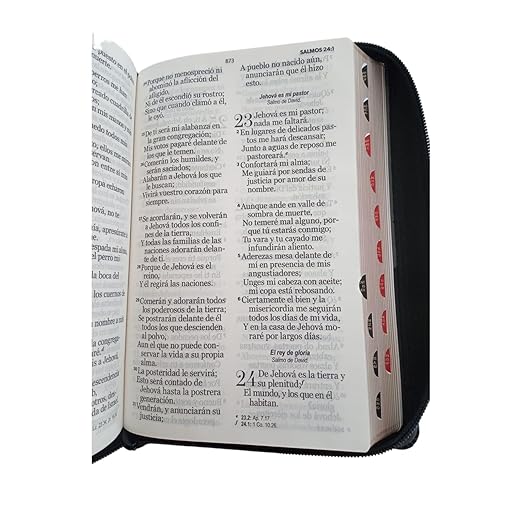 Biblia Reina Valera 1960 · 13,8x21,2 cm · Letra gigante 14 pt · Con cierre e índice · Diseño león negro y gris
