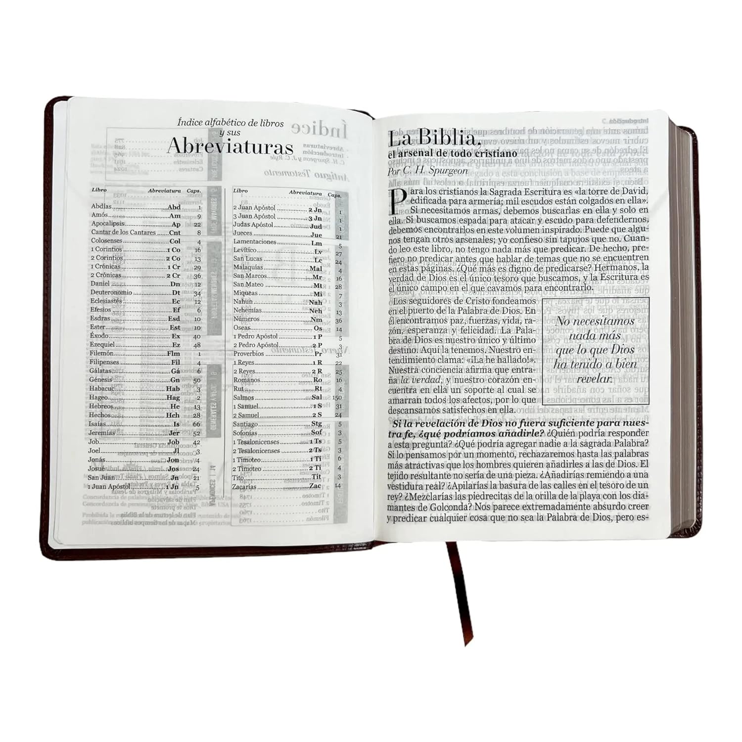 Biblia Reina Valera 1960 095C Lspgi 19P 18X26 Pjr Clásica Café