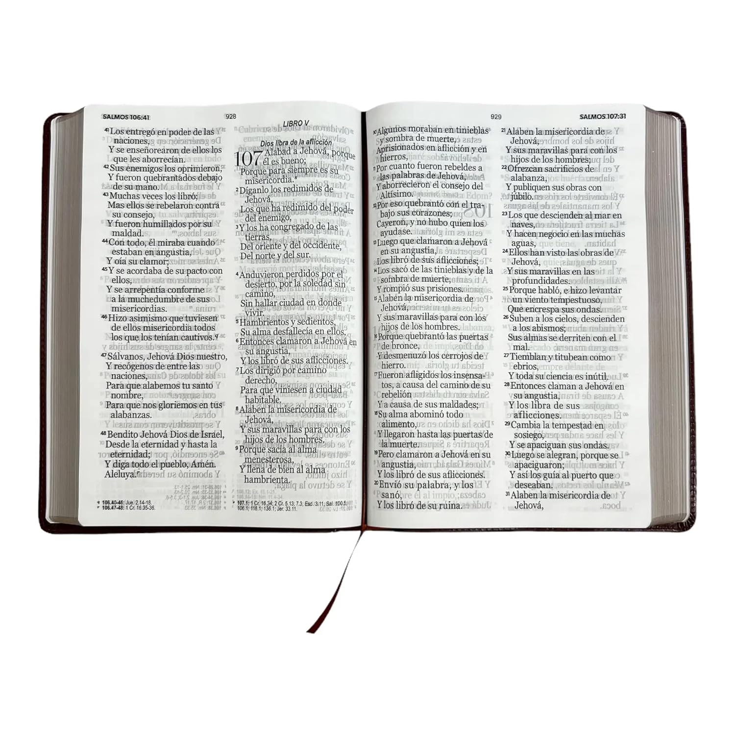 Biblia Reina Valera 1960 095C Lspgi 19P 18X26 Pjr Clásica Café