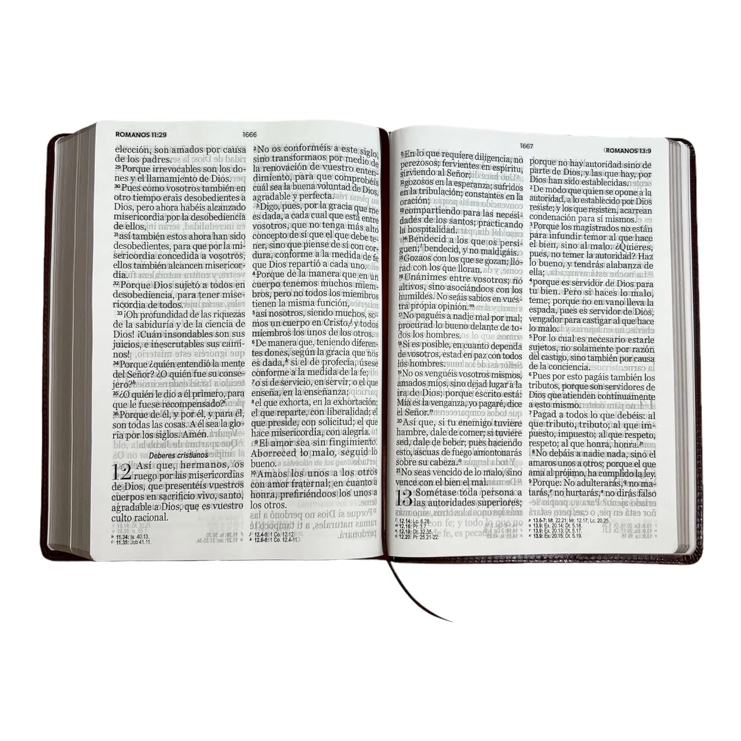 Biblia Reina Valera 1960 095C Lspgi 19P 18X26 Pjr Clásica Café