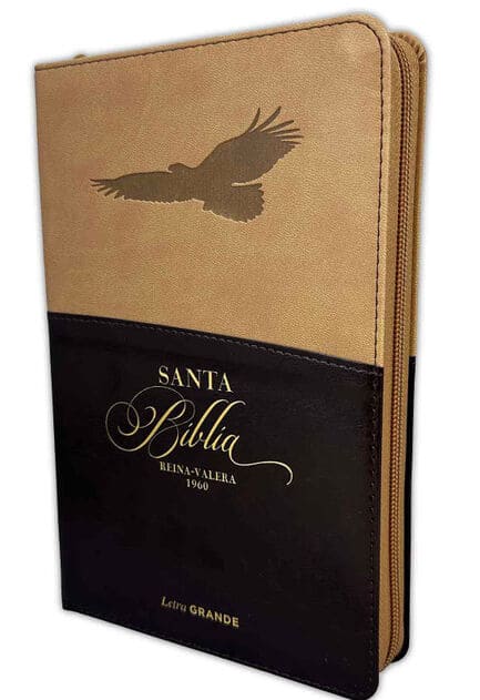 Biblia Reina Valera 1960 Letra Mayor Indice PJR Aguila
