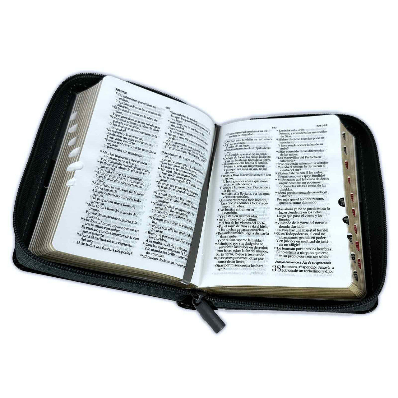Biblia Reina Valera 1960 · 10x14 cm · Letra pequeña 8,5 pt · Con cierre e índice · Tapa imitación piel · Colección Expresión león negro y gris