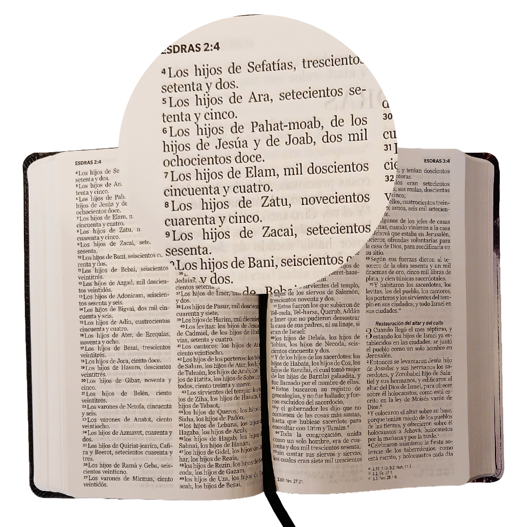 Biblia Reina Valera 1960 062 Letra Grande Concordancia pjr Espada