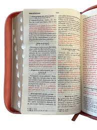 Biblia Reina Valera 1960 Letra Grande Cierre Indice Rosa