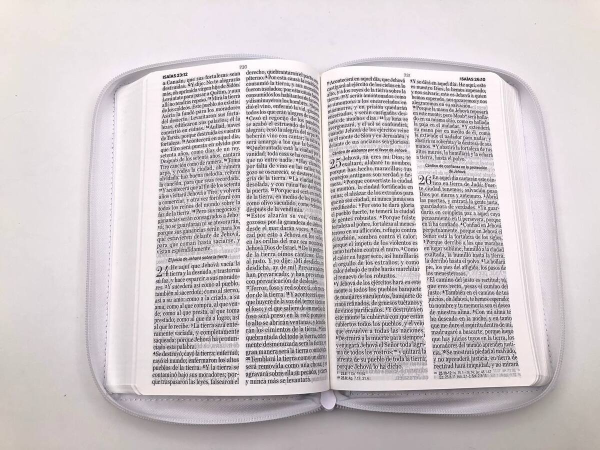 Biblia Reina Valera 1960 Letra Grande Cierre PJR Flores