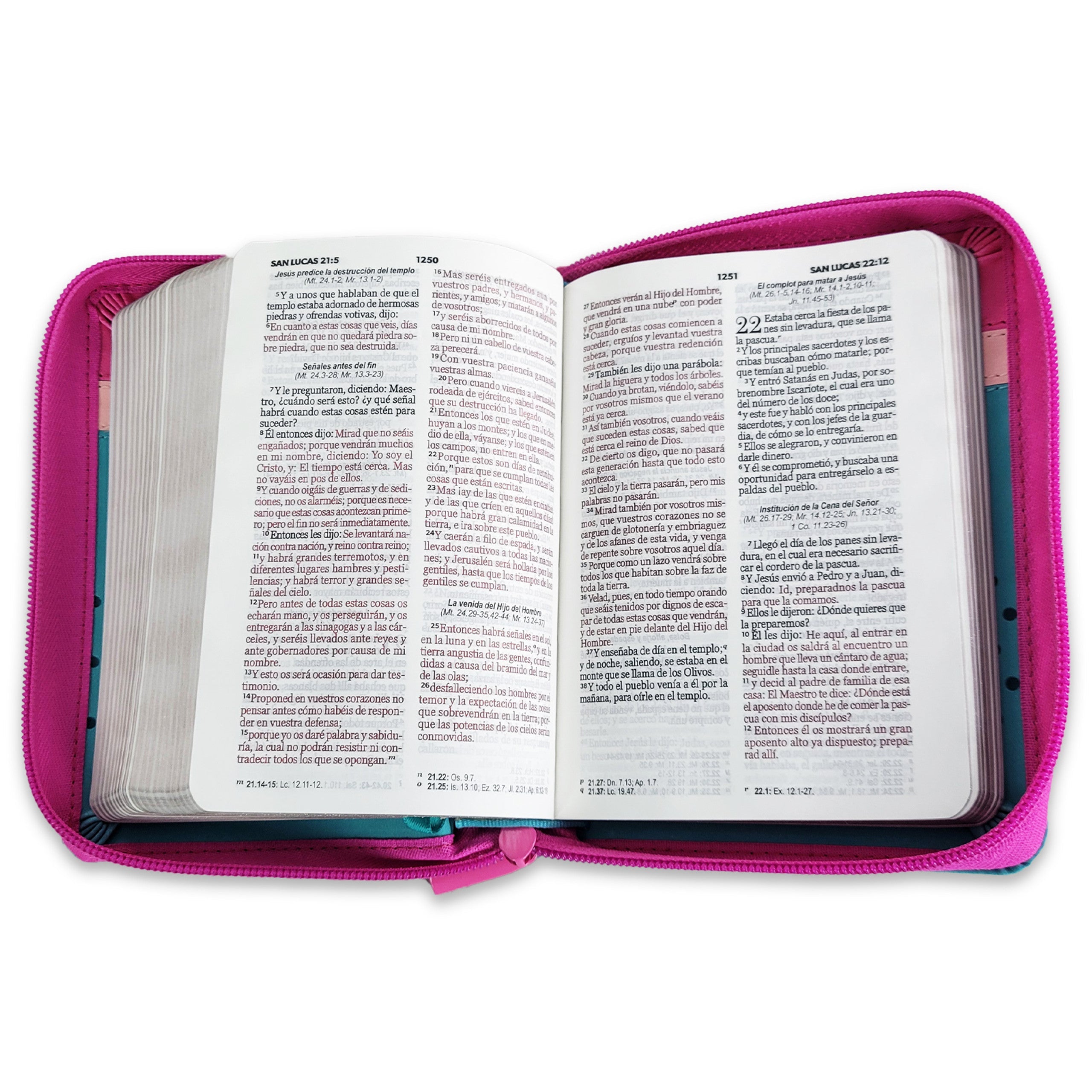 Biblia Reina Valera 1960 · 10x14 cm · Letra pequeña 8,5 pt · Con cierre · Tapa imitación piel · Colección Primor flores fucsia, rosa y turquesa
