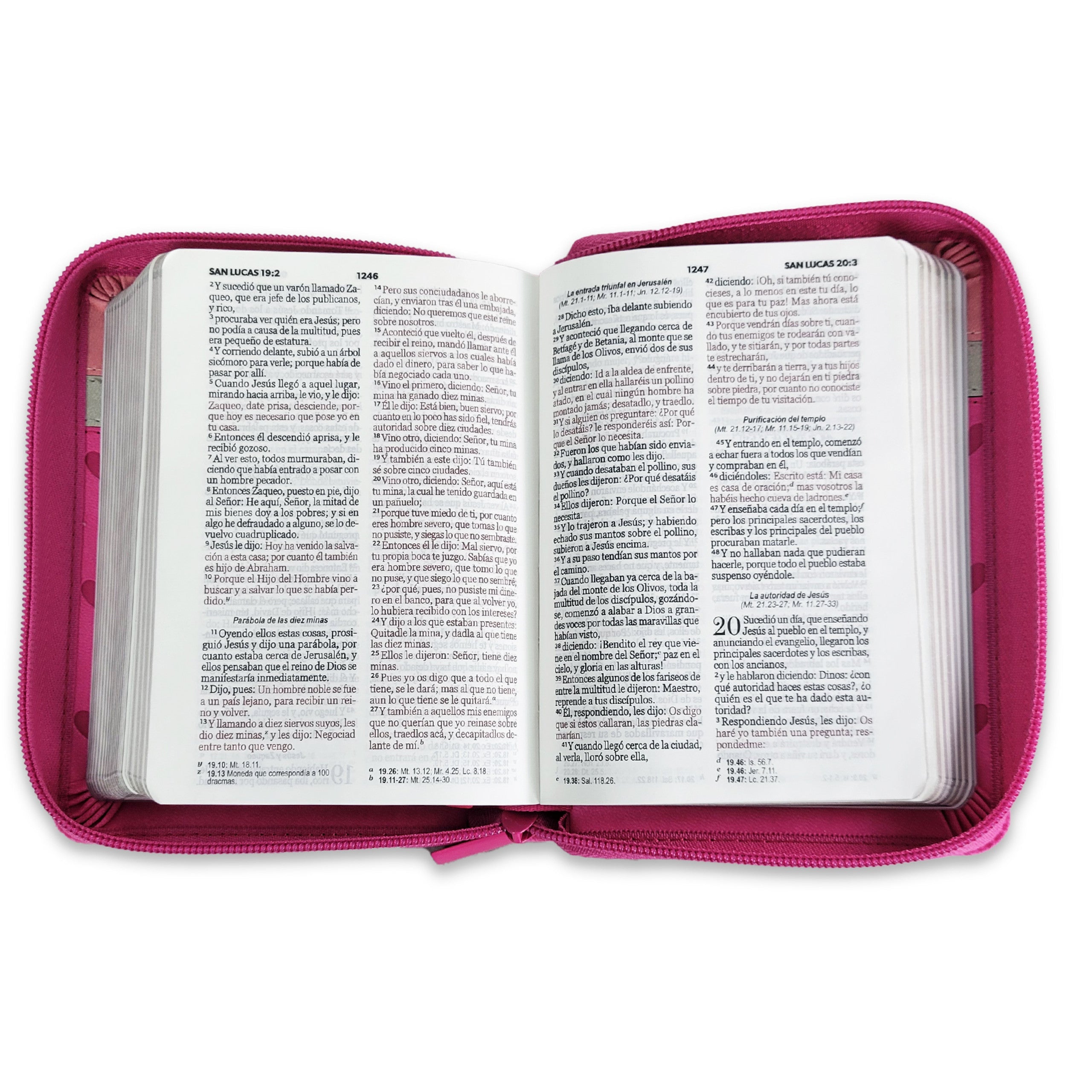 Biblia Reina Valera 1960 · 10x14 cm · Letra pequeña 8,5 pt · Con cierre · Tapa imitación piel · Colección Primor corazones fucsia, blanco y rosa