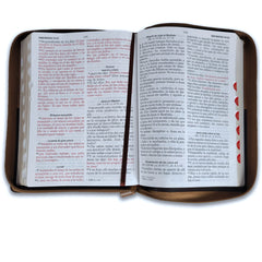 Biblia Reina Valera 1960 · 17x23,5 cm · Letra gigante 15 pt · Con cierre e índice · Diseño Ichtus café