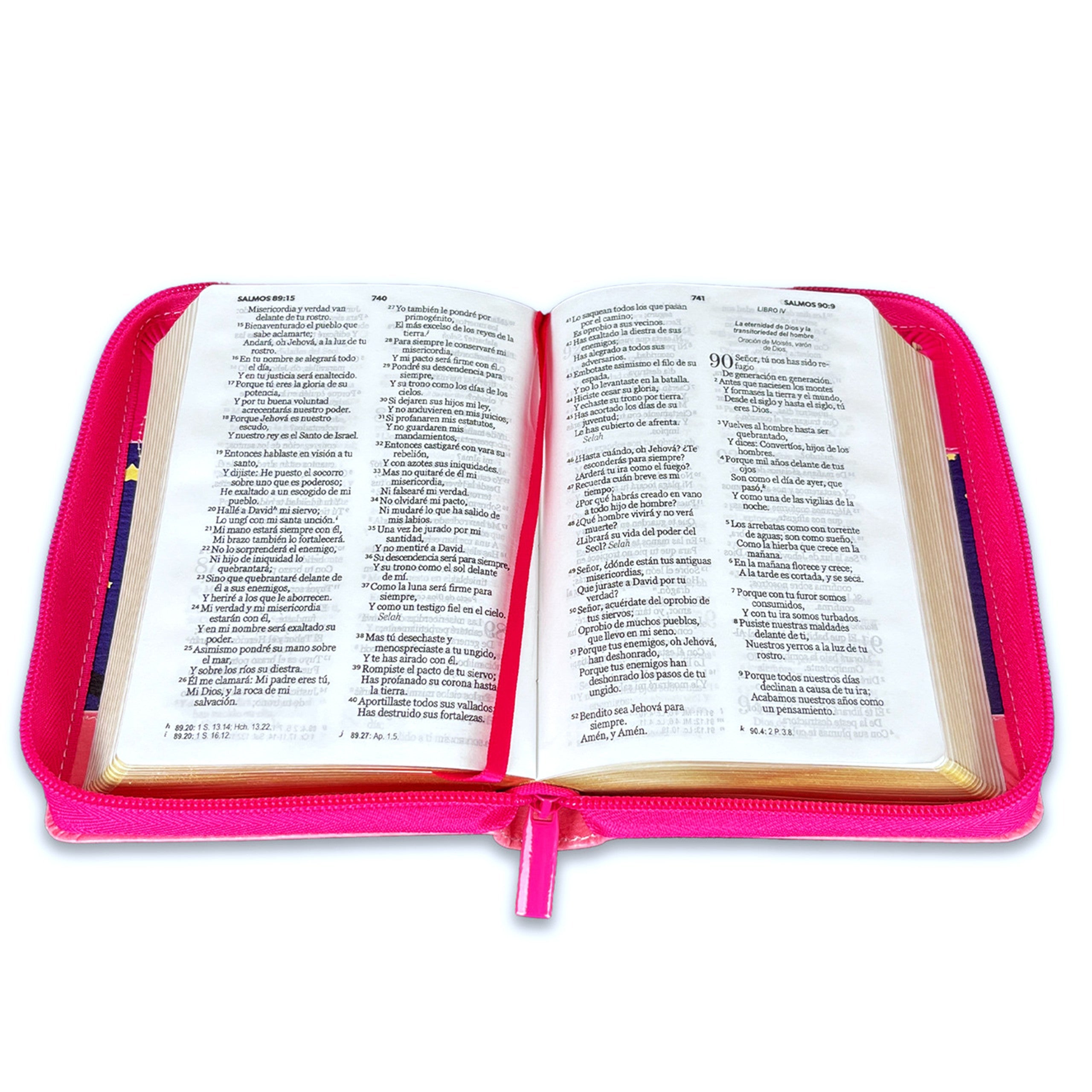 Biblia Reina Valera 1960 · 10x14 cm · Letra pequeña 8,5 pt · Con cierre · Tapa imitación piel · Colección Primor mariquita rosa con topos negros