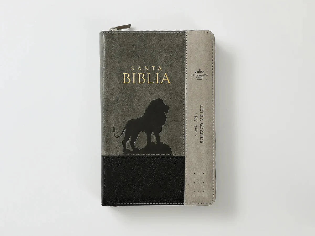 Biblia Rvr60 065Czti Lg Cierre Indice 12P 15 X 23 Inspiracion Len Negro/Gris/Gris