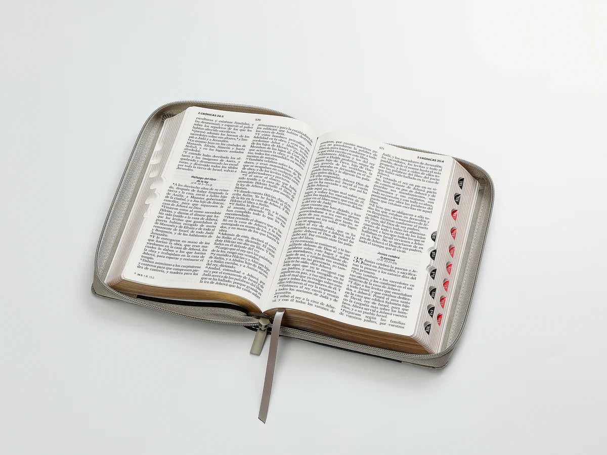 Biblia Rvr60 065Czti Lg Cierre Indice 12P 15 X 23 Inspiracion Len Negro/Gris/Gris
