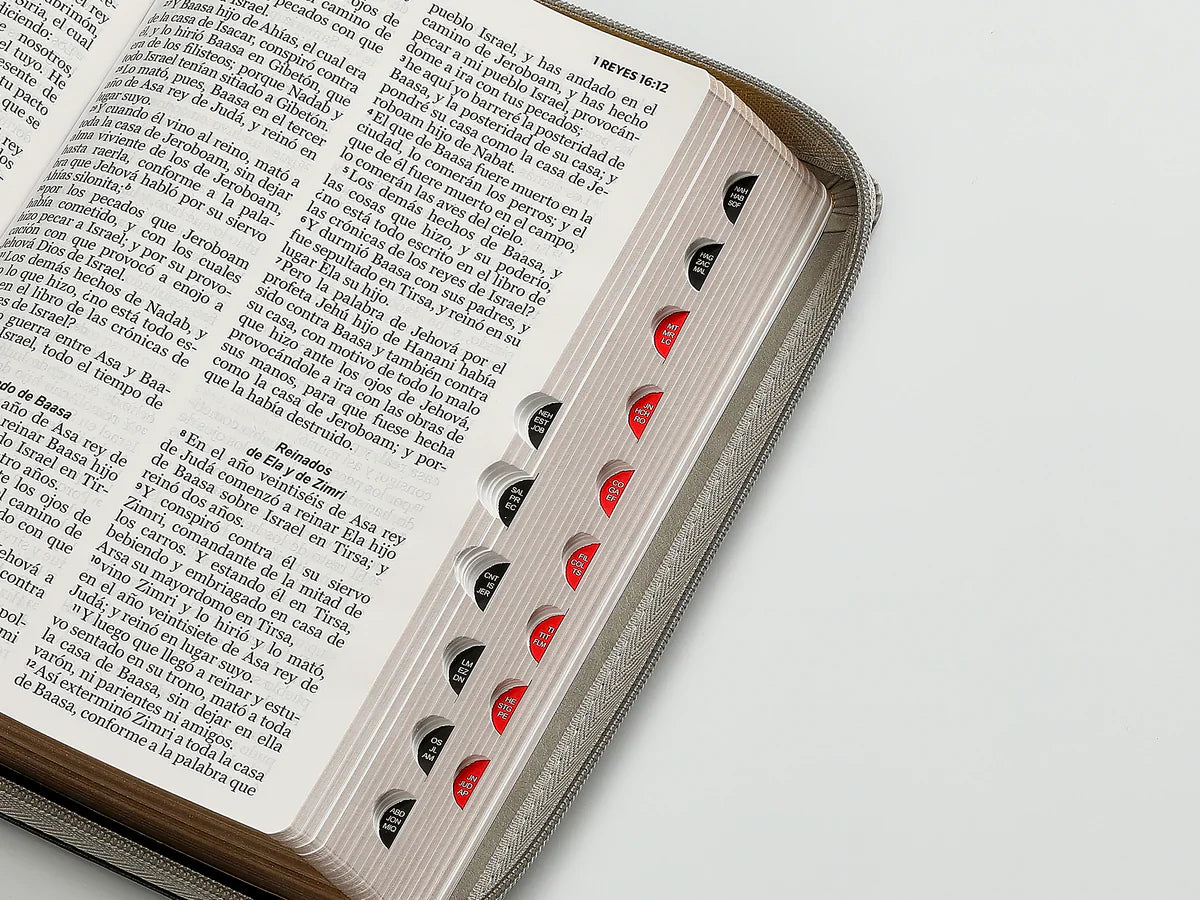 Biblia Rvr60 065Czti Lg Cierre Indice 12P 15 X 23 Inspiracion Len Negro/Gris/Gris