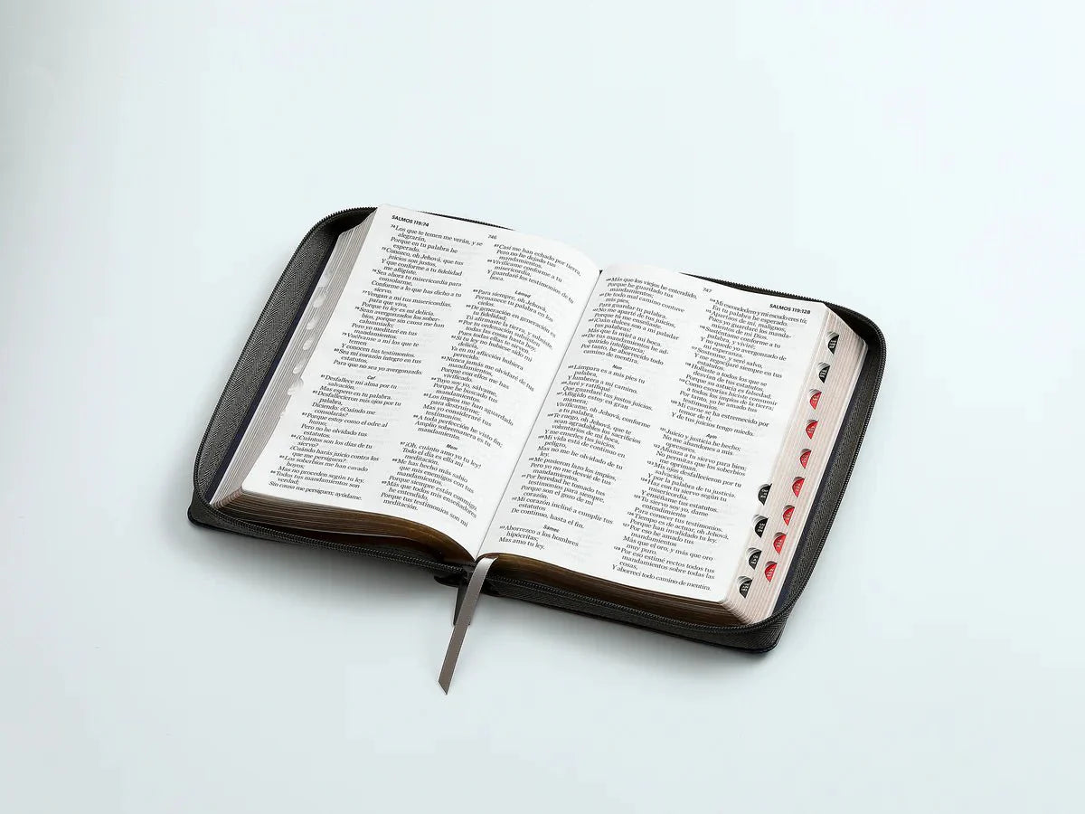Biblia Reina Valera 1960Concordancia Cierre Indice Letra Grande Inspiracion Marrón/Gris/Azul