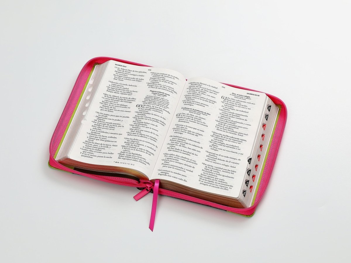 Biblia Rvr60 065Czti Lg Cierre Indice 12P 15 X 23 Inspiracion Flores