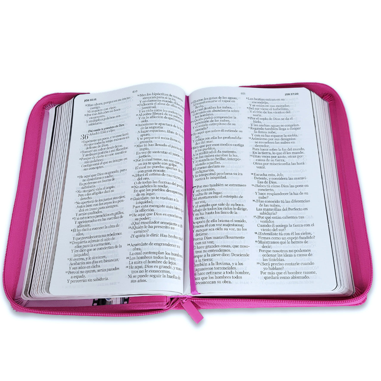 Biblia Reina Valera 1960 065Cz Lg 12P 14X21 Héroes Imitación Piel Rosa/Rosa Con Cierre