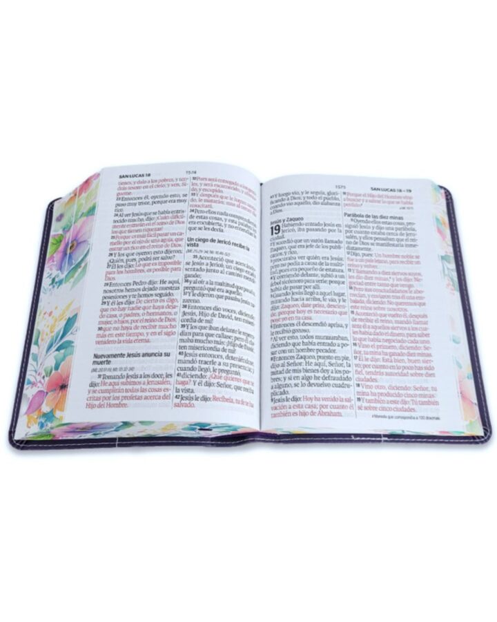Biblia Reina Valera 1960 045C L 12P 11X16Cm Pjr Cp Flores Lila