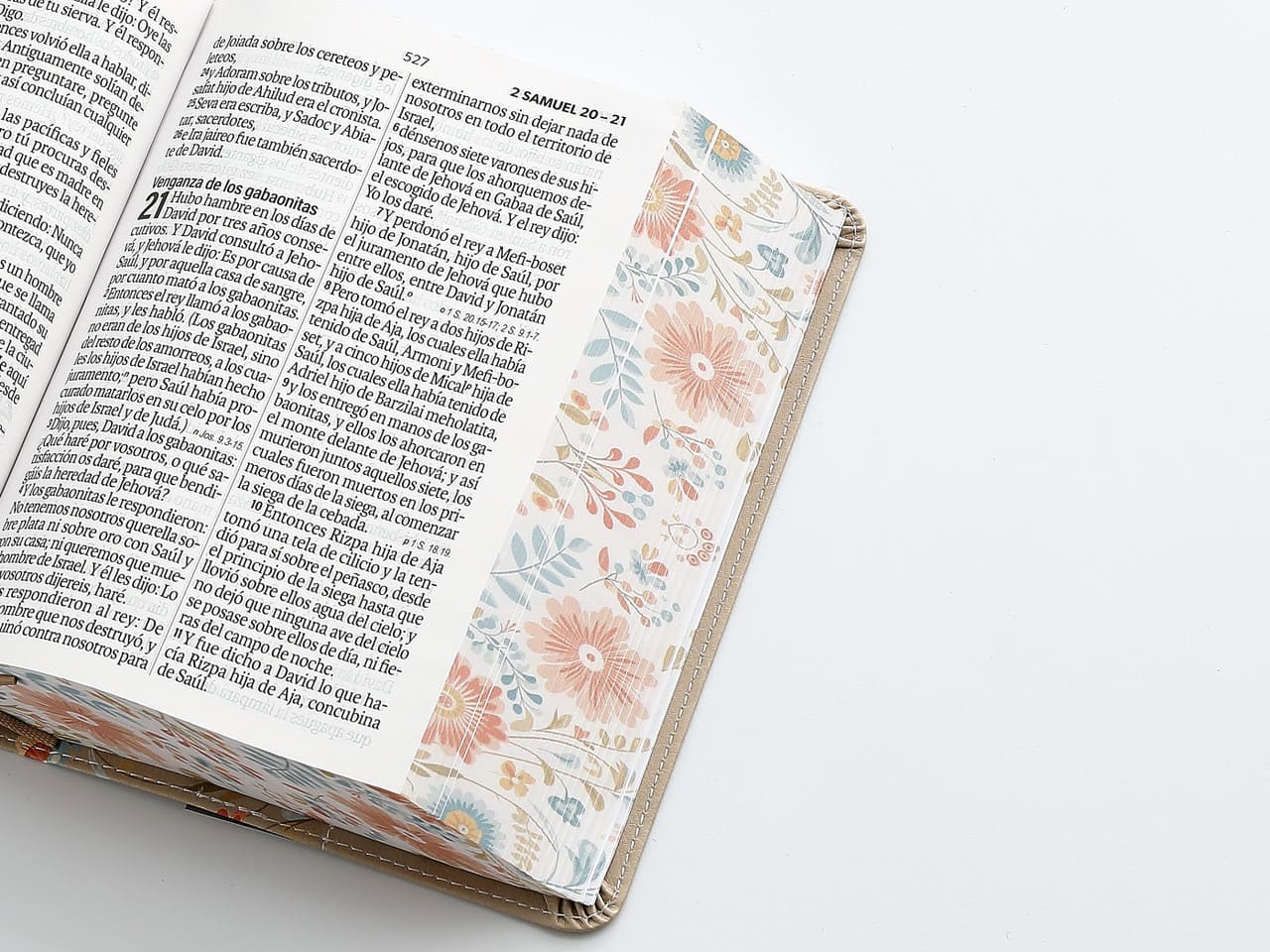 Biblia Reina Valera 1960 045C L 12P 11X16Cm Pjr Cp Flores Crema