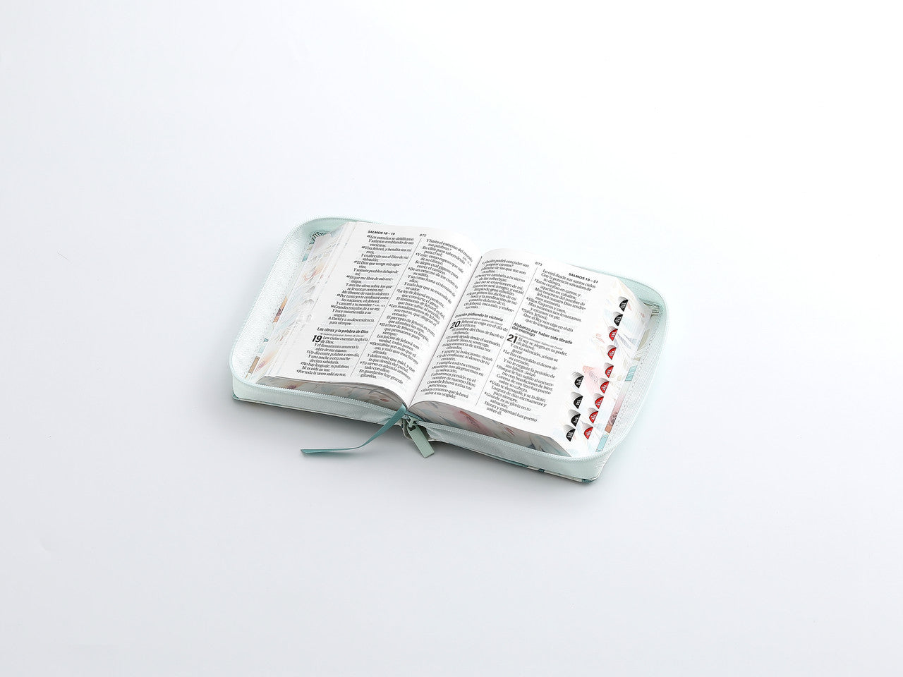 Biblia Reina Valera 1960 045Czti L 12P 11X16Cm Pjr Cp Victoria Flores Sobre Azul