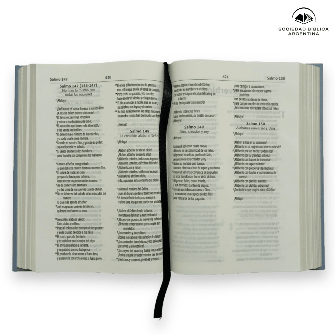 Biblia Dios Habla Hoy – Tapa Dura Gris Azulado, 12 x 17 cm, Letra 9 Puntos