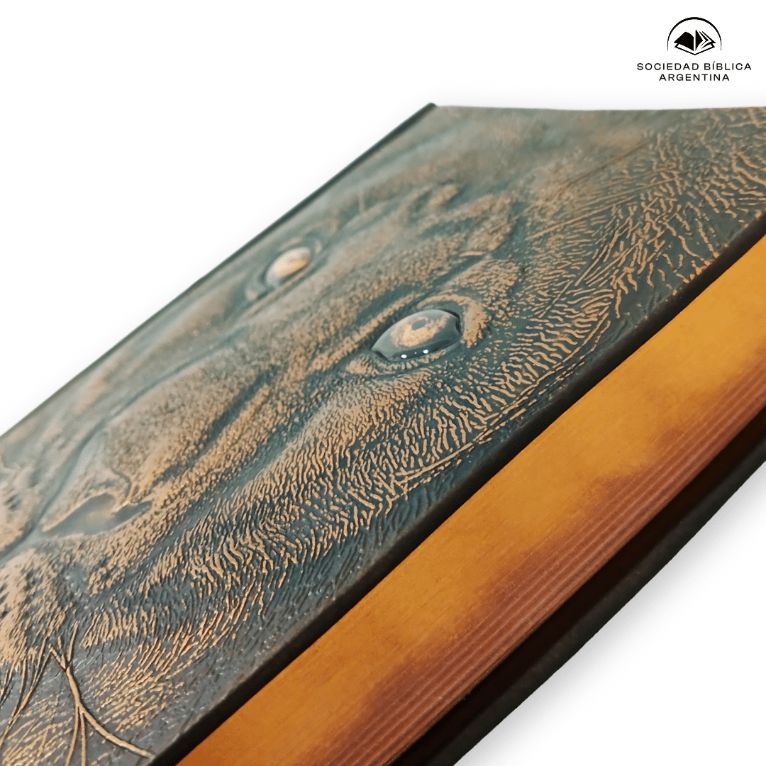 Biblia Reina-Valera 1960 León De Judá, Letra 10,5 Pt, 14×20, Palabras De Jesús En Rojo, Tapa PU, Color Bronce, Con León